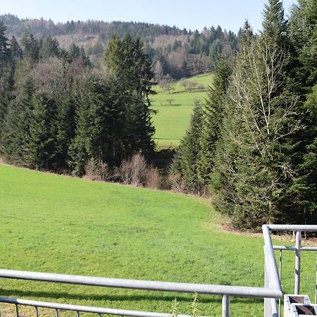 Ferienwohnung Im Dettenbachtal Waldkirch Dış mekan fotoğraf