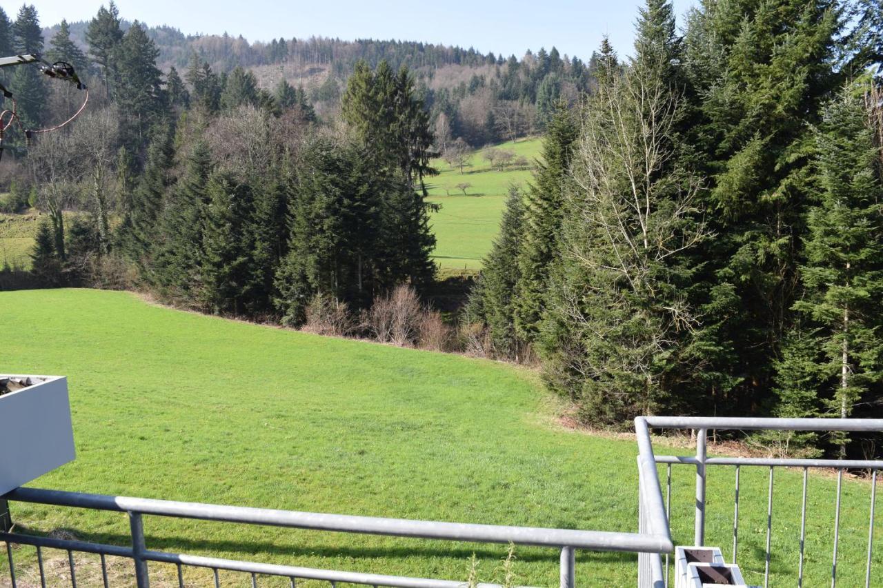 Ferienwohnung Im Dettenbachtal Waldkirch Dış mekan fotoğraf