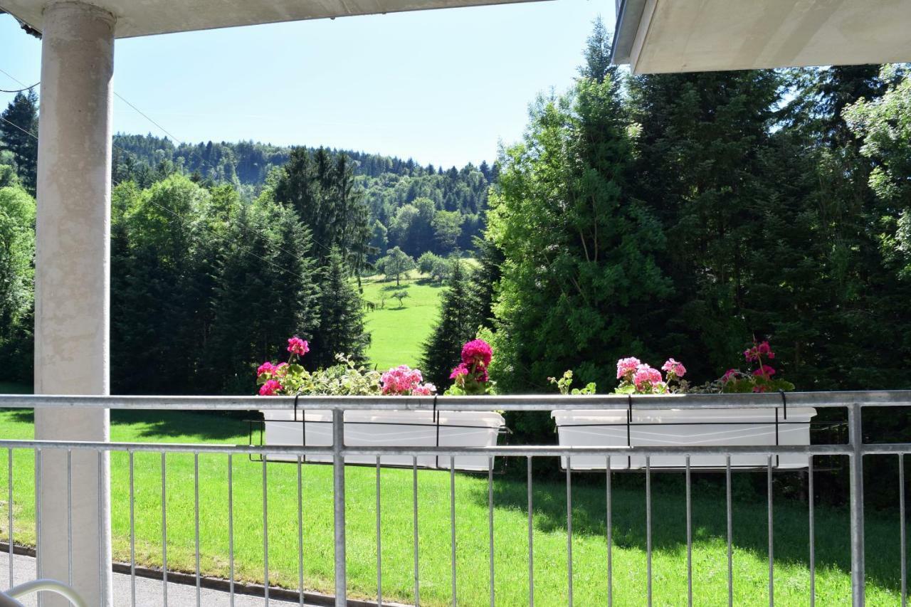 Ferienwohnung Im Dettenbachtal Waldkirch Dış mekan fotoğraf