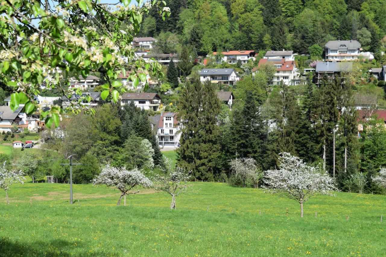 Ferienwohnung Im Dettenbachtal Waldkirch Dış mekan fotoğraf