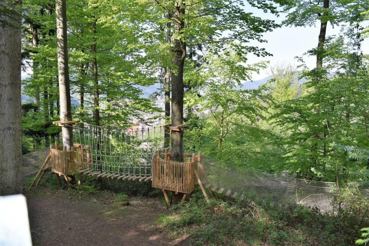 Ferienwohnung Im Dettenbachtal Waldkirch Dış mekan fotoğraf