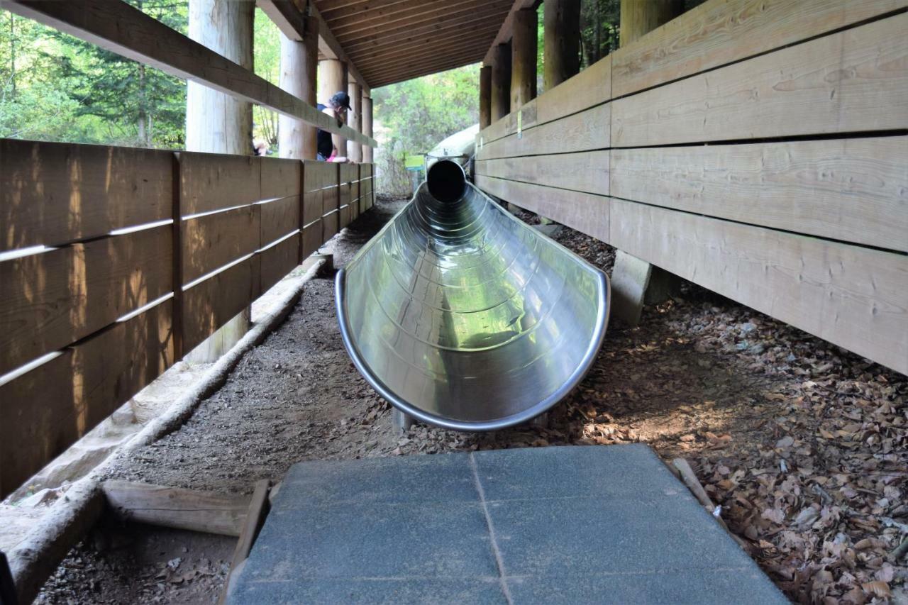Ferienwohnung Im Dettenbachtal Waldkirch Dış mekan fotoğraf