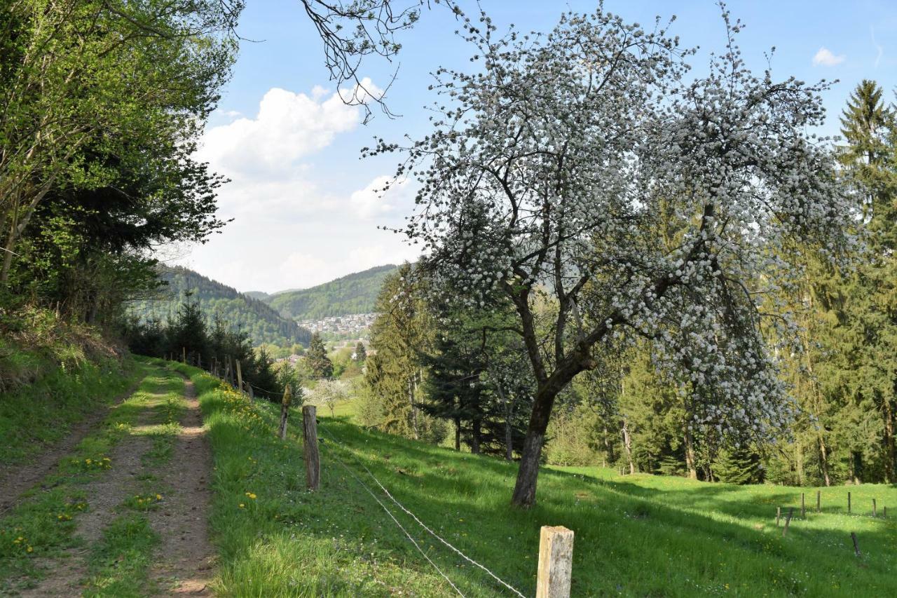 Ferienwohnung Im Dettenbachtal Waldkirch Dış mekan fotoğraf
