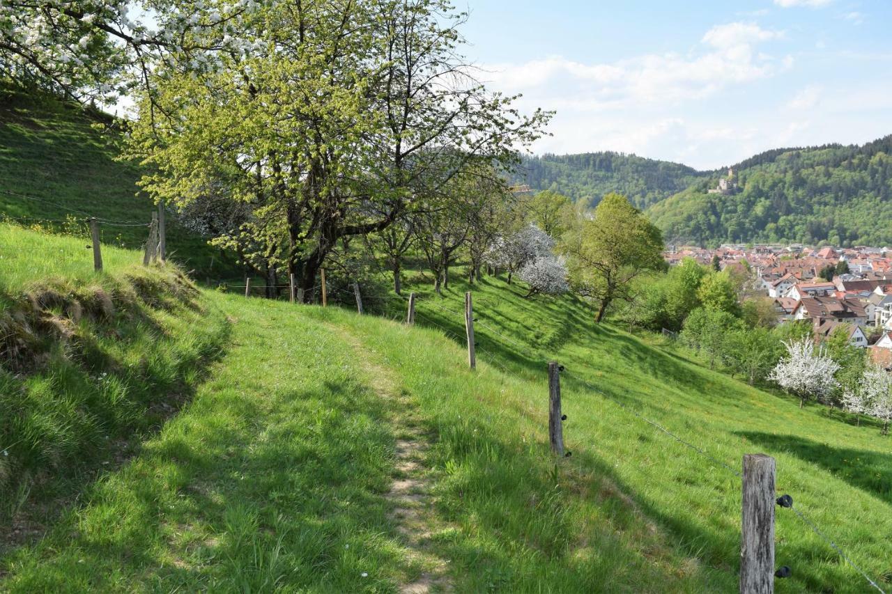 Ferienwohnung Im Dettenbachtal Waldkirch Dış mekan fotoğraf