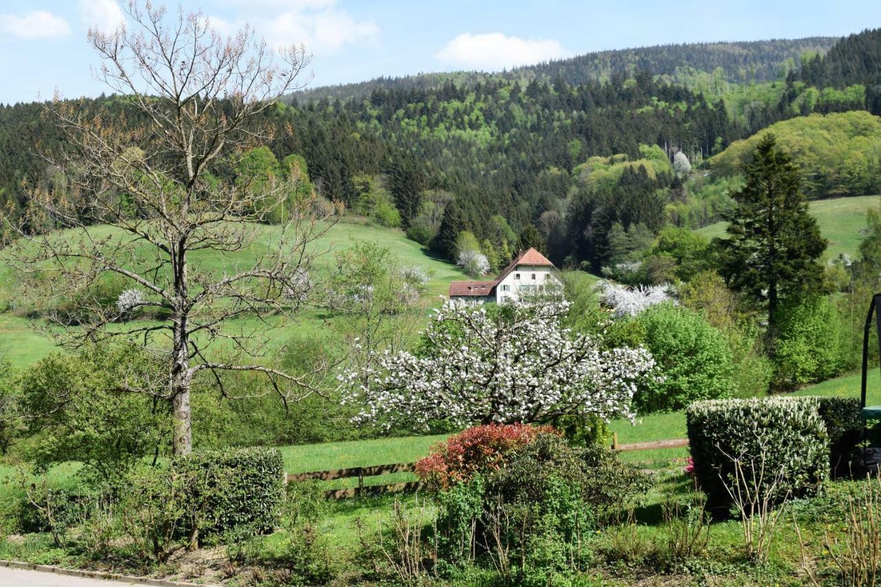 Ferienwohnung Im Dettenbachtal Waldkirch Dış mekan fotoğraf